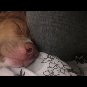 Meet your Posher, Kenyatta