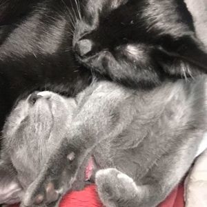 Meet your Posher, Jamie