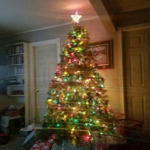 Meet your Posher, Terrie