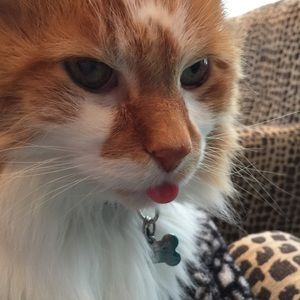 Meet your Posher, Mikel