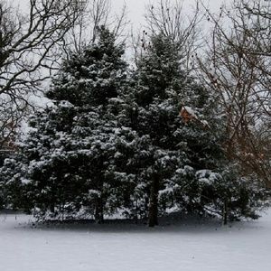 Meet your Posher, Ericka