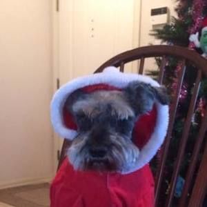 Meet your Posher, Nelia