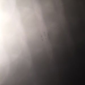 Meet your Posher, Sierra