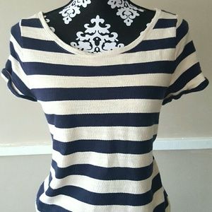 Ann Taylor Loft Blue and White Striped Dress
