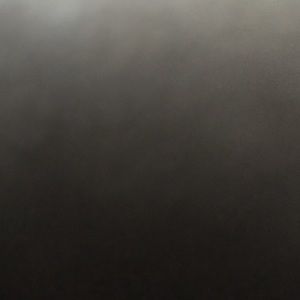 Meet your Posher, Ellen