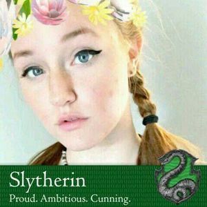 Meet your Posher, Alitta