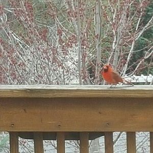 Meet your Posher, Sherry