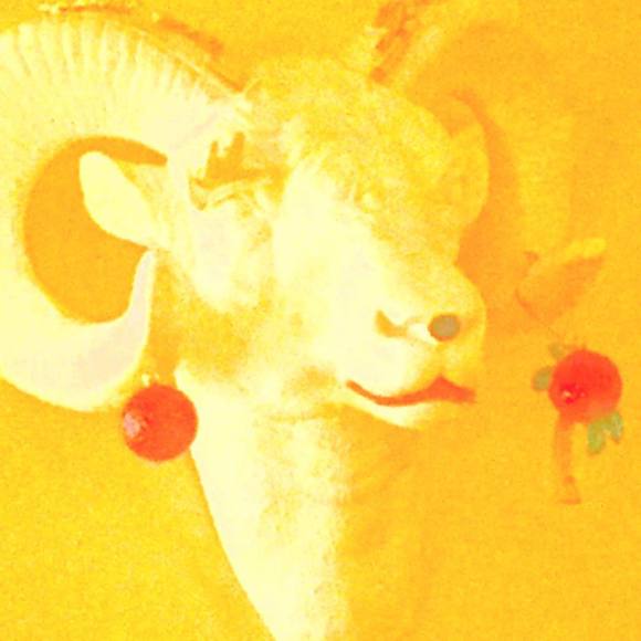 Meet your Posher, Kristen