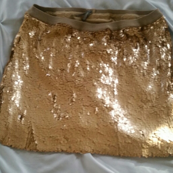 Sequined Skirt
