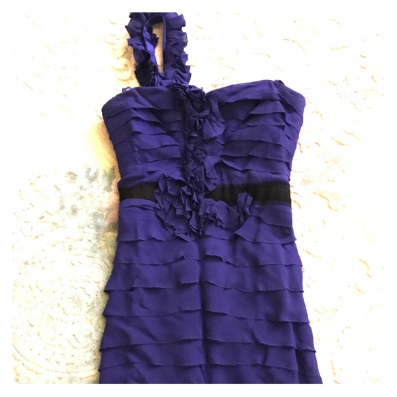 Bcbg blue/purple dress.