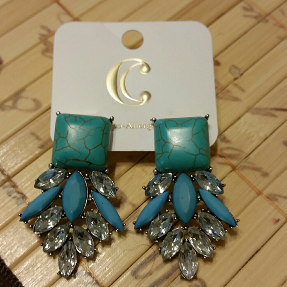 Cute Turquoise Earrings! - Picture 1 of 2