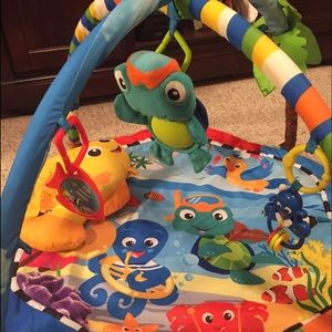 Baby Einstein Gym