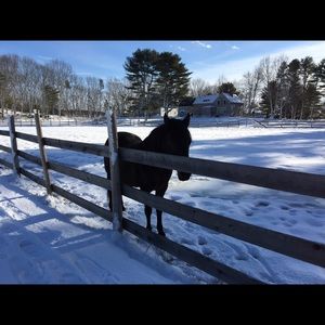 Meet your Posher, Amy