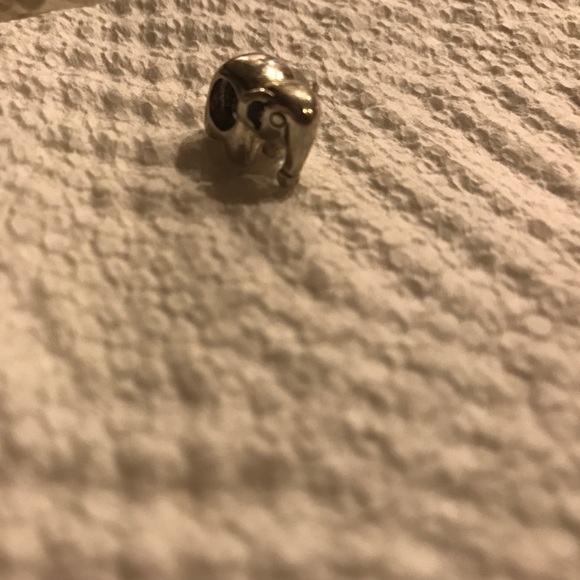 Elephant charm