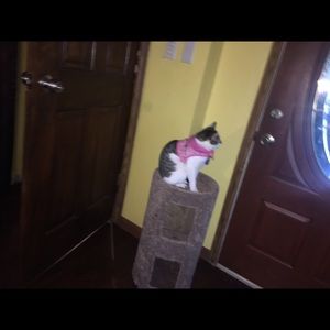 Meet your Posher, Matthew