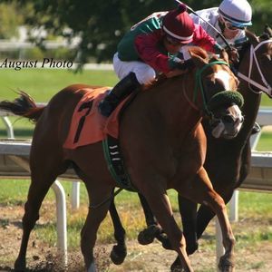 Meet your Posher, Abel