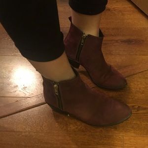 Steve Madded, Size 6.5, Maroon booties.