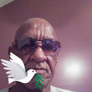 Meet your Posher, Alfred