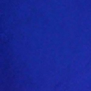 Meet your Posher, Frank