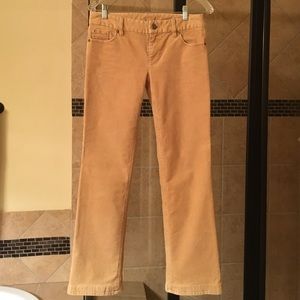 Corduroy 5 pocket jean