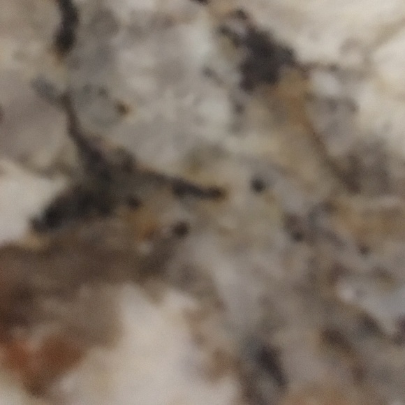 Meet your Posher, Phoebe