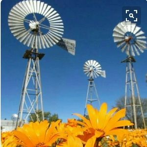 Meet your Posher, Tonya