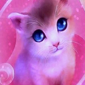 Meet your Posher, Lily