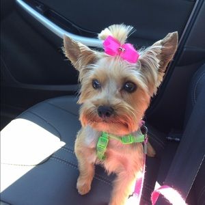 Meet your Posher, Desiree