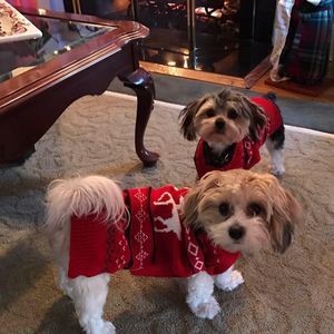 Meet your Posher, Patricia