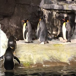 Meet your Posher, Kier