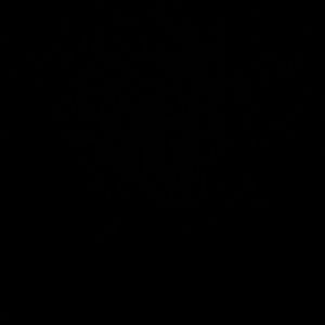 Meet your Posher, Tammie