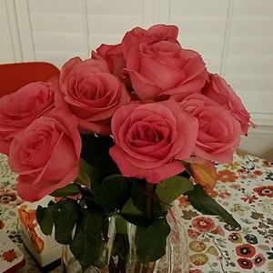 Meet your Posher, Rose