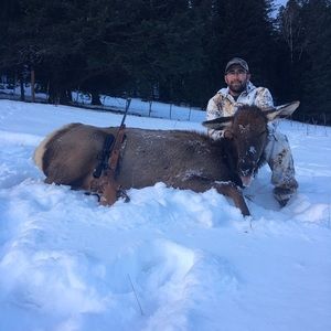 Meet your Posher, Daniel