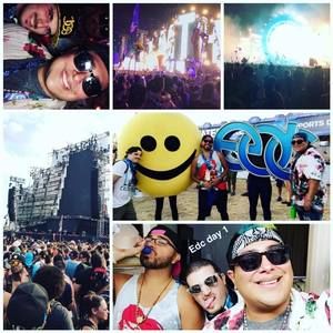 Meet your Posher, Herman