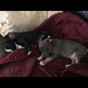 Meet your Posher, Jaime