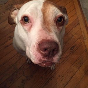 Meet your Posher, Rich