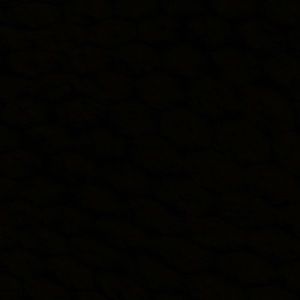 Meet your Posher, Ginger