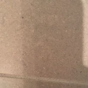 Meet your Posher, Ella