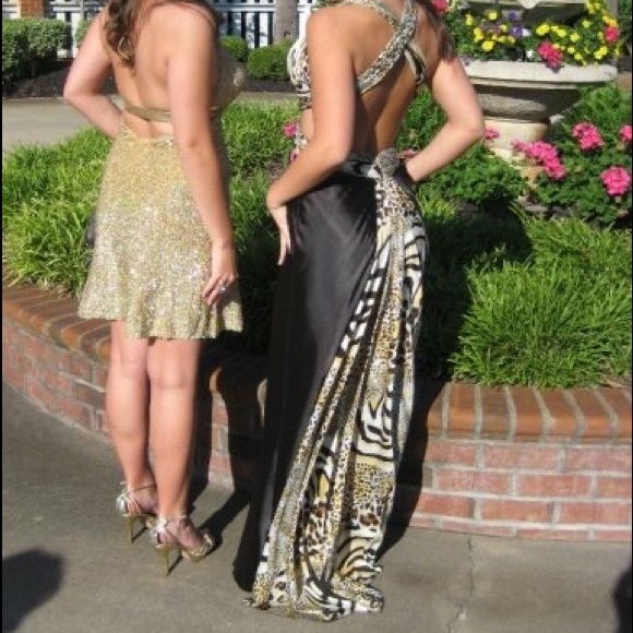 Animal Print Gown - Picture 3 of 4