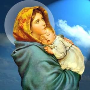 Meet your Posher, Hoa