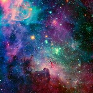 Meet your Posher, Maddy