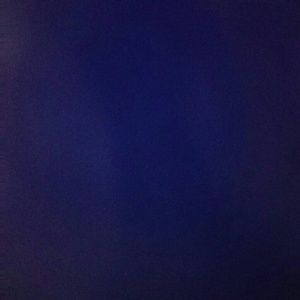 Meet your Posher, Lea