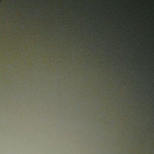 Meet your Posher, Eduardo