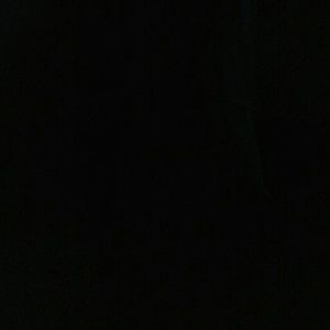 Meet your Posher, Shawn