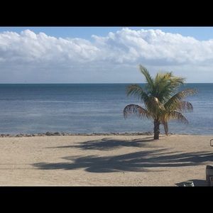 Meet your Posher, Missy