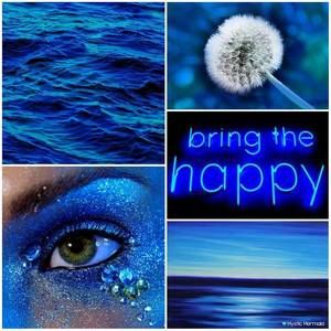 Meet your Posher, Cynthia