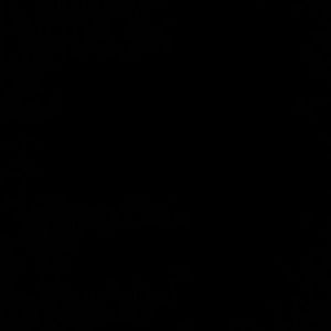 Meet your Posher, Zaire