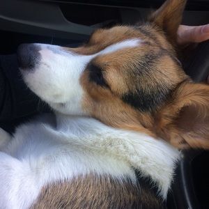 Meet your Posher, Rick