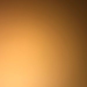 Meet your Posher, Fraidy