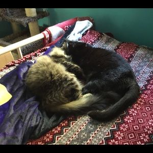 Meet your Posher, Kelly